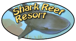 Shark Reef resort in beauriful Port Aransas Texas on Mustang Island.