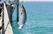 Please find us at www.sharkreefresort.net!! 